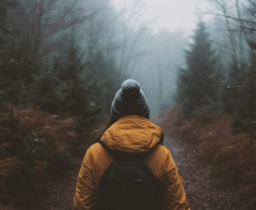 Understanding Disorganized Attachment: The Push-Pull of Fear and Longing